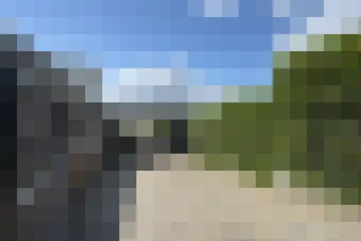 Oude Heijningsedijk 93 Heijningen thumbnail 79