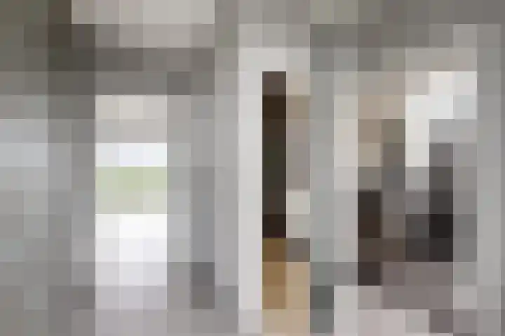 Oude Heijningsedijk 93 Heijningen thumbnail 8