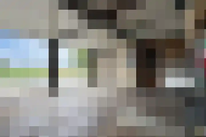 Oude Heijningsedijk 93 Heijningen thumbnail 83