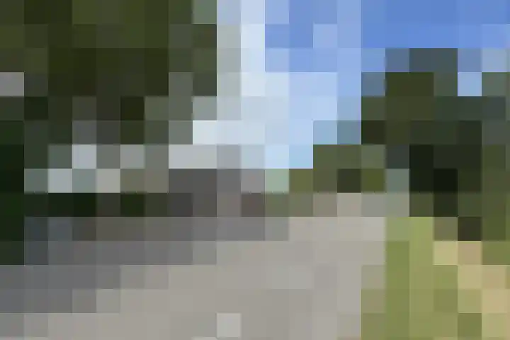 Oude Heijningsedijk 93 Heijningen thumbnail 89