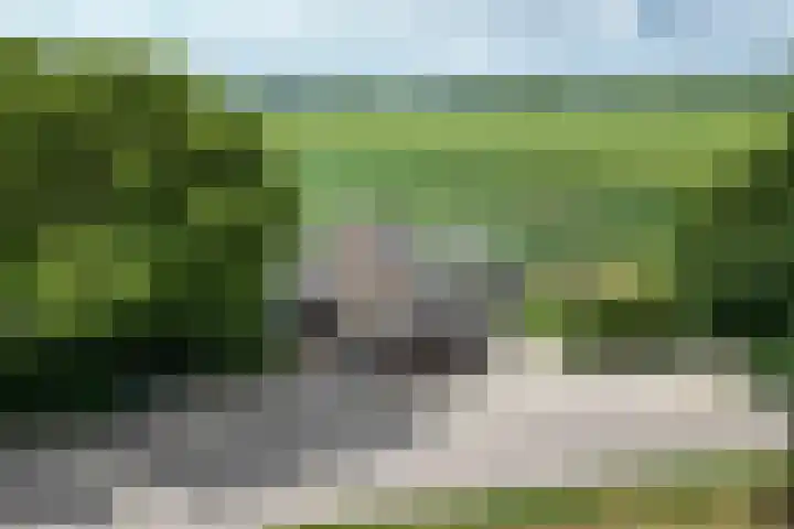 Oude Heijningsedijk 93 Heijningen thumbnail 91