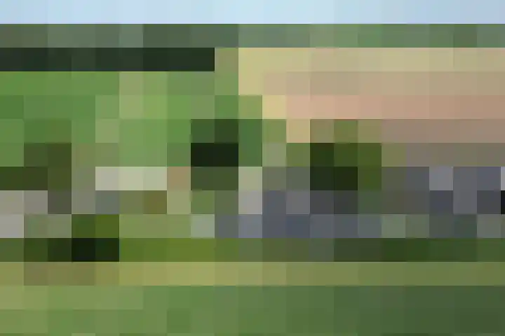 Oude Heijningsedijk 93 Heijningen thumbnail 93
