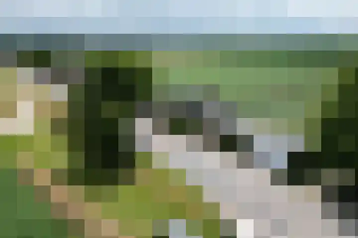Oude Heijningsedijk 93 Heijningen thumbnail 95