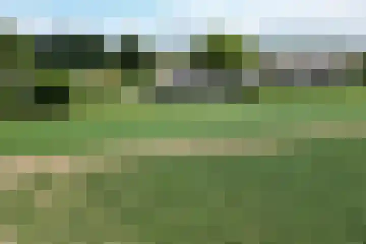 Oude Heijningsedijk 93 Heijningen thumbnail 96
