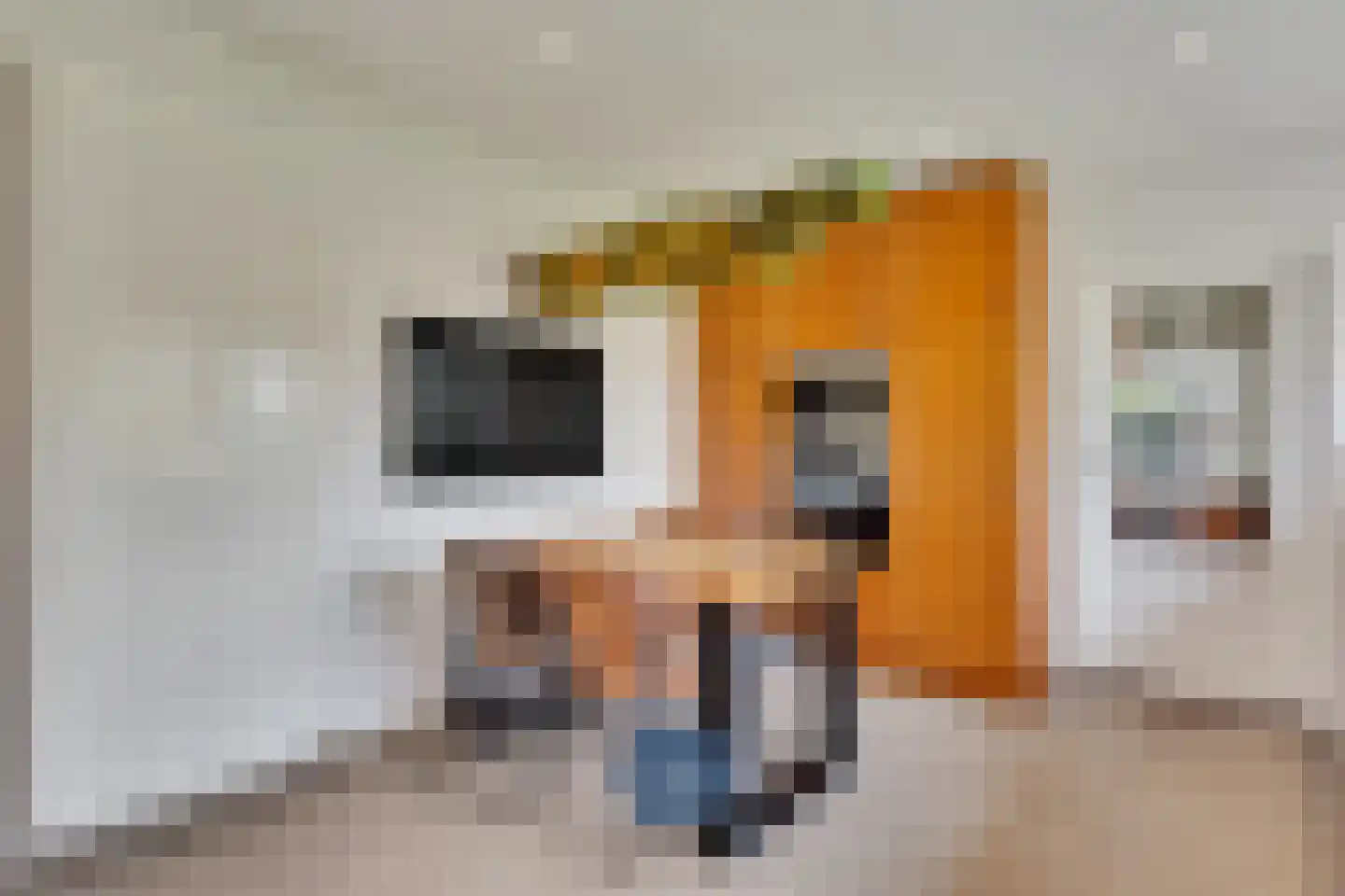 Oude Heirbaan 143 3620 Maastricht thumbnail 13