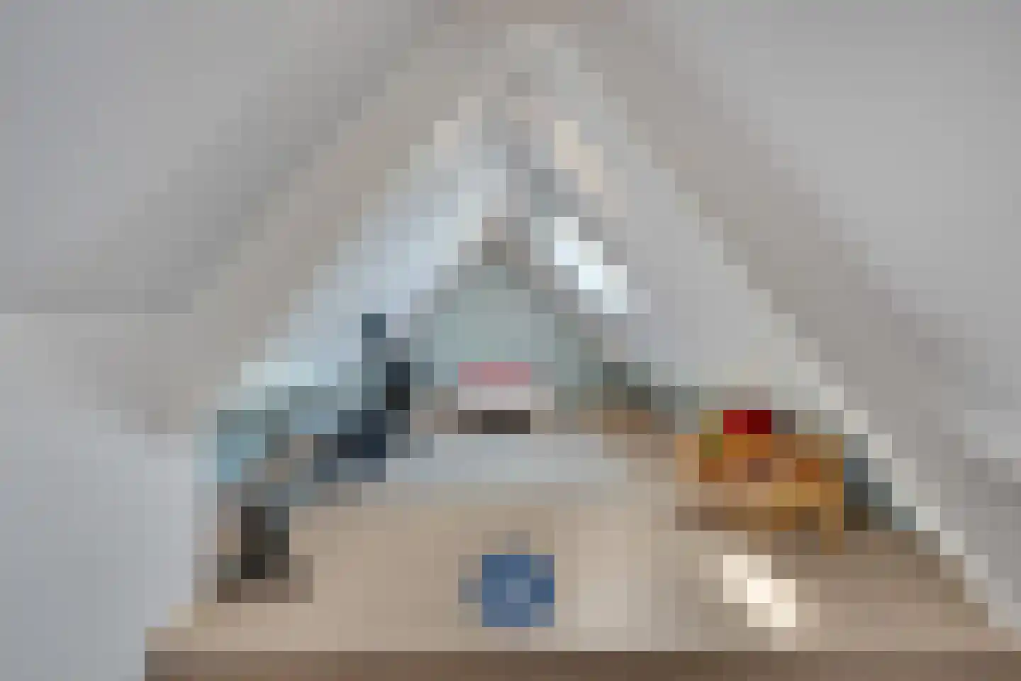 Oude Heirbaan 143 3620 Maastricht thumbnail 22