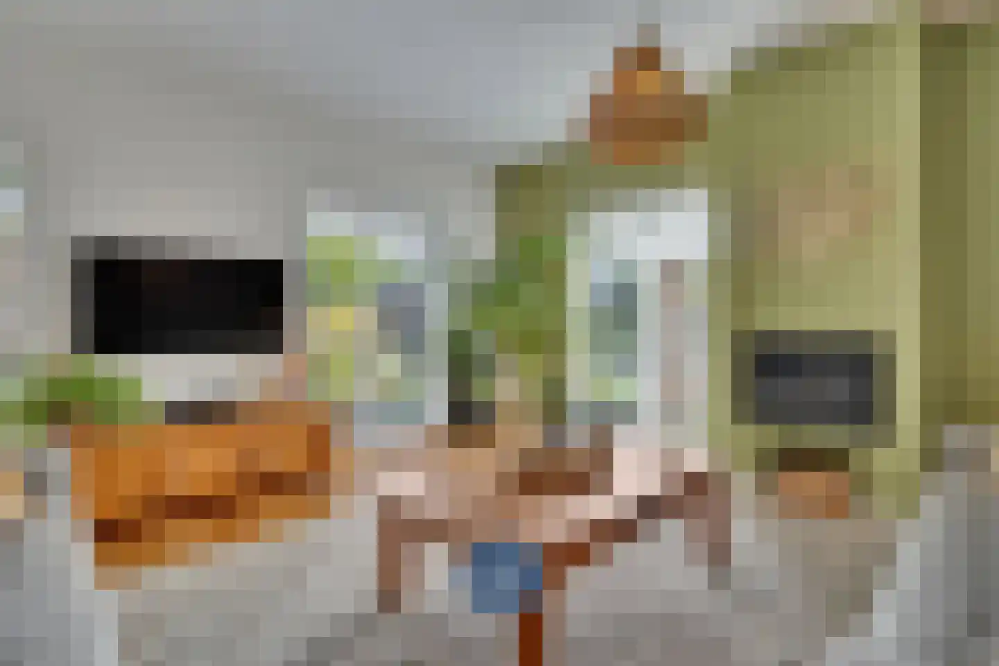 Oude Heirbaan 143 3620 Maastricht thumbnail 7