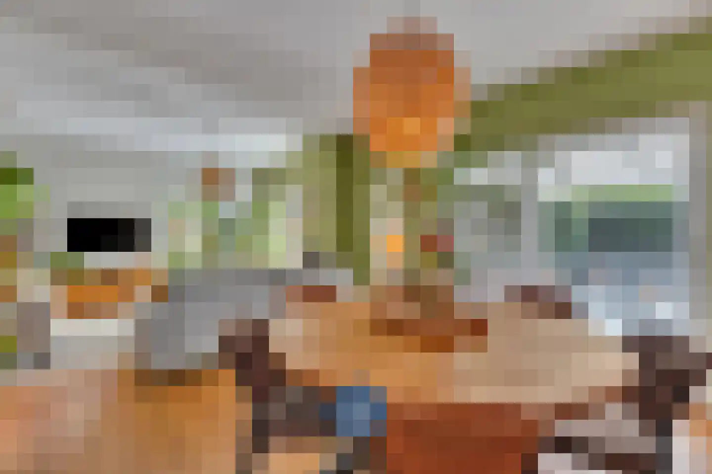 Oude Heirbaan 143 3620 Maastricht thumbnail 9