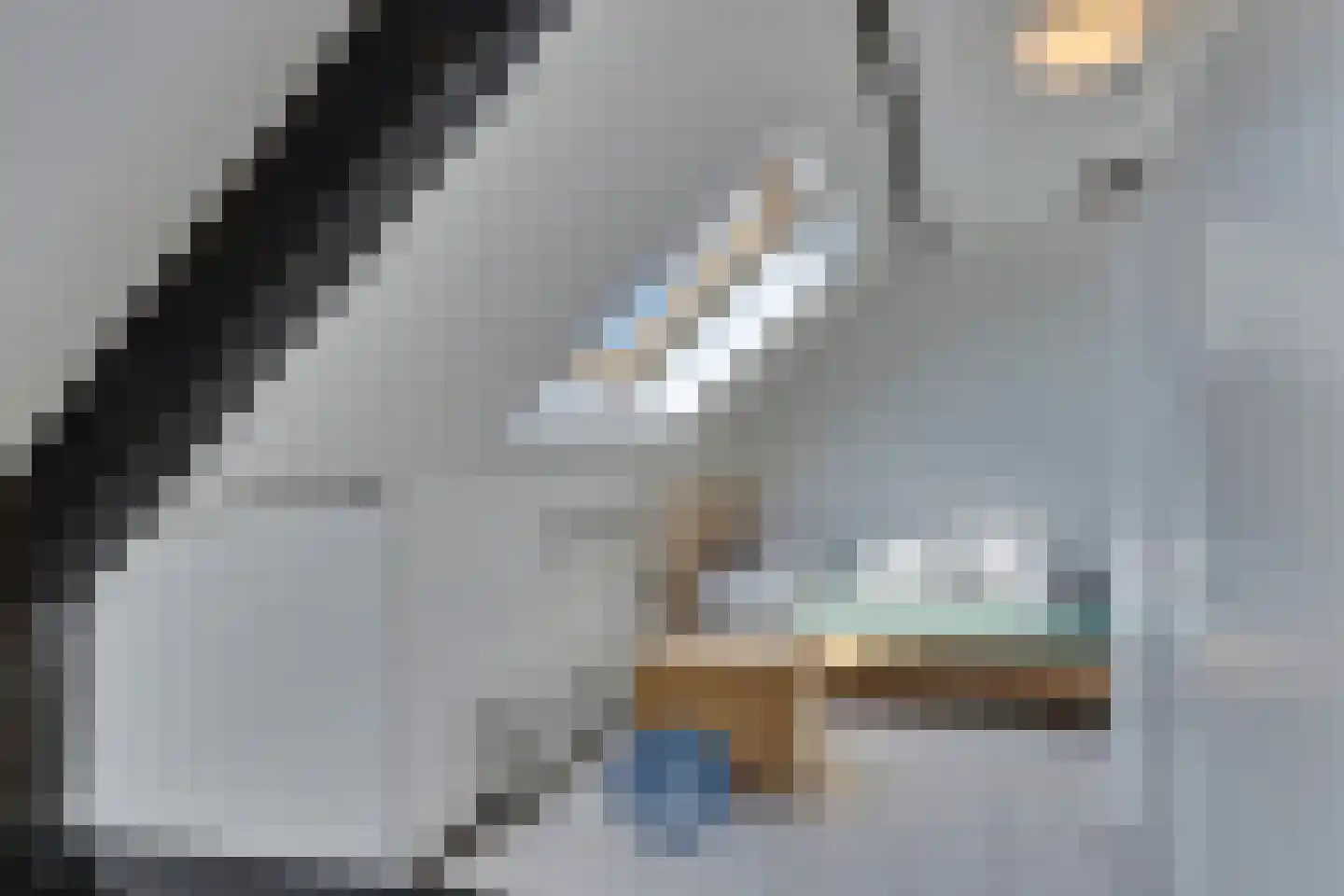 Oude Heirbaan 3620 Lanaken Maastricht thumbnail 18