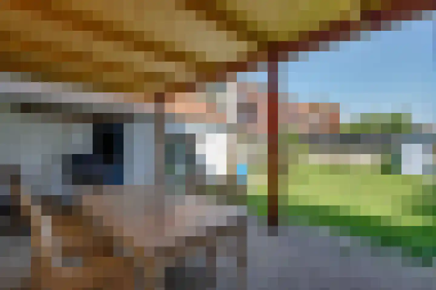 Oude Heirbaan 3620 Lanaken Maastricht thumbnail 19