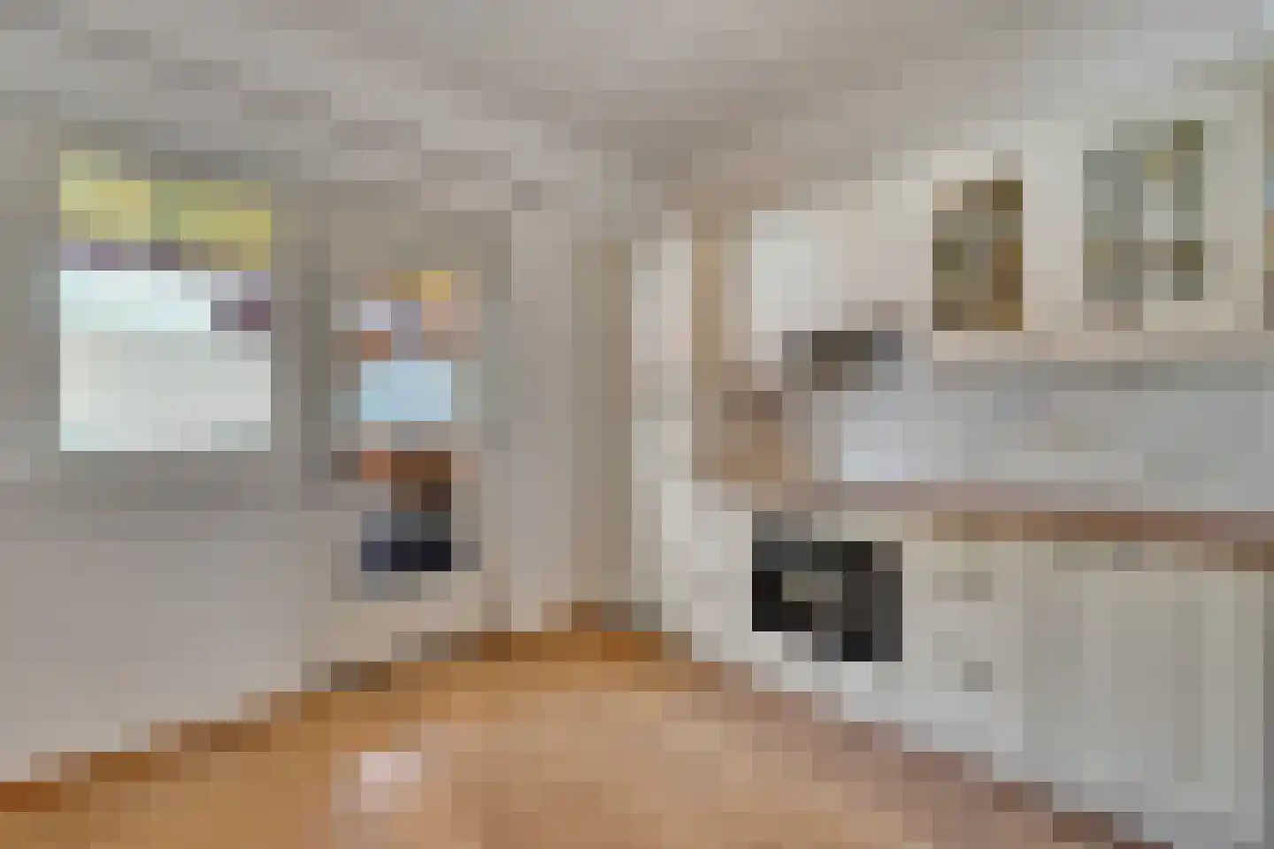 Oude Heirbaan 3620 Lanaken Maastricht thumbnail 9