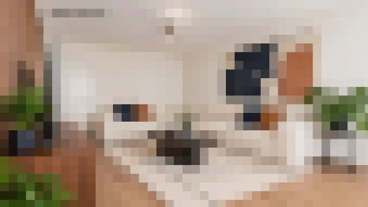 Oude Heirbaan 82 Maastricht thumbnail 5