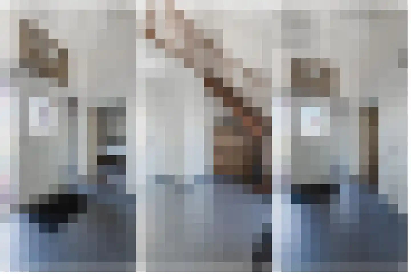 Oude Heistraat 19 Wernhout thumbnail 37