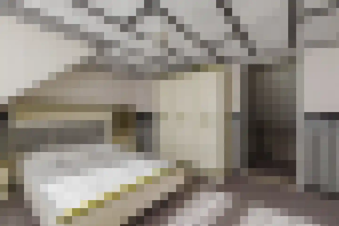 Oude Heistraat 19 Wernhout thumbnail 39