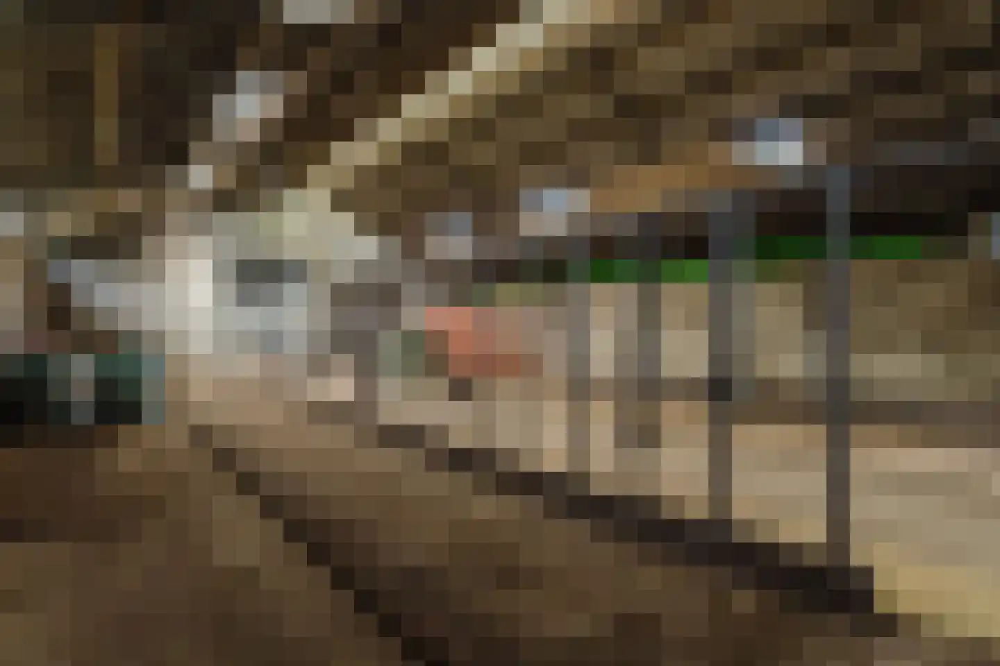 Oude Heistraat 19 Wernhout thumbnail 83