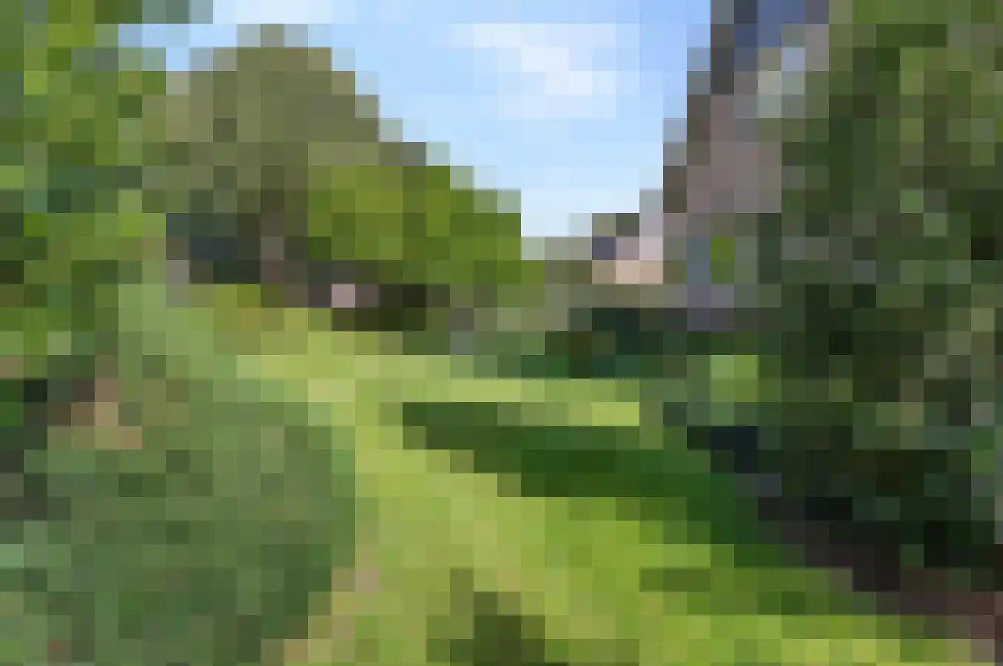 Oude Hekendorperweg 23 Oudewater thumbnail 42