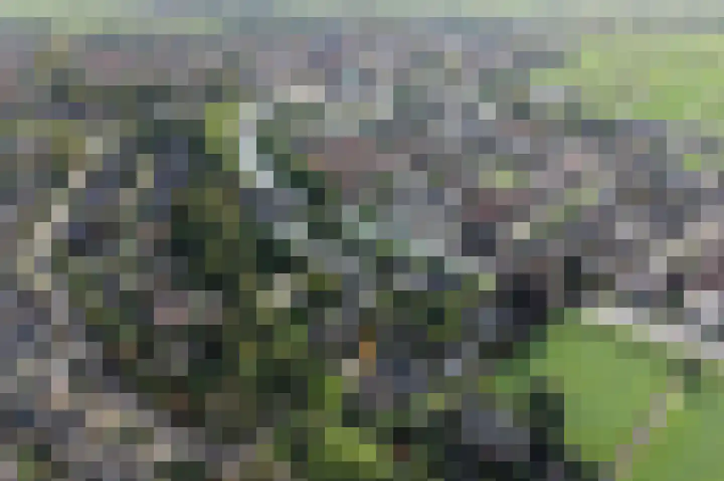 Oude Hekendorperweg 23 Oudewater thumbnail 5