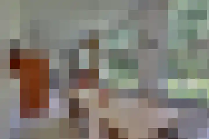 Oude Hellendoornseweg 6 Holten thumbnail 10