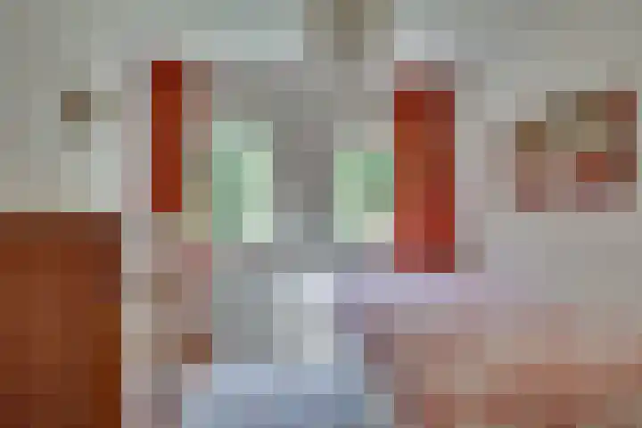 Oude Hellendoornseweg 6 Holten thumbnail 20