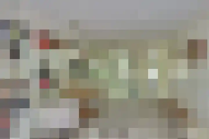 Oude Hellendoornseweg 6 Holten thumbnail 30