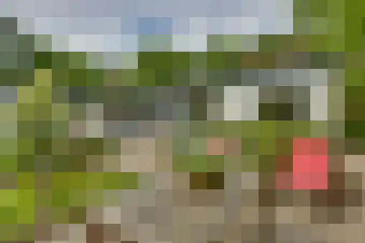Oude Hellendoornseweg 6 Holten thumbnail 37