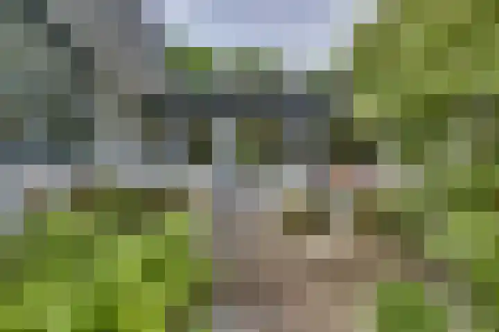 Oude Hellendoornseweg 6 Holten thumbnail 39