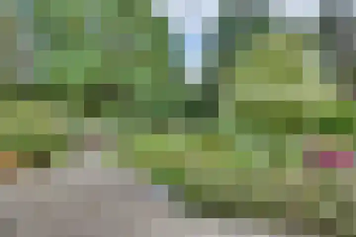 Oude Hellendoornseweg 6 Holten thumbnail 41