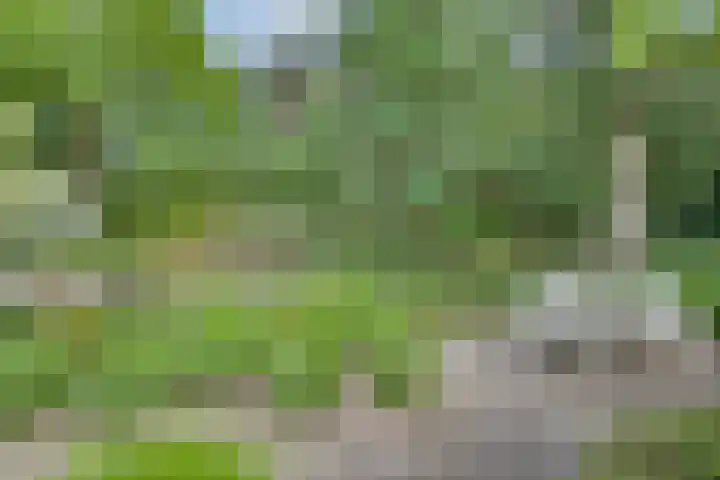 Oude Hellendoornseweg 6 Holten thumbnail 42