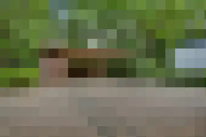 Oude Hellendoornseweg 6 Holten thumbnail 43