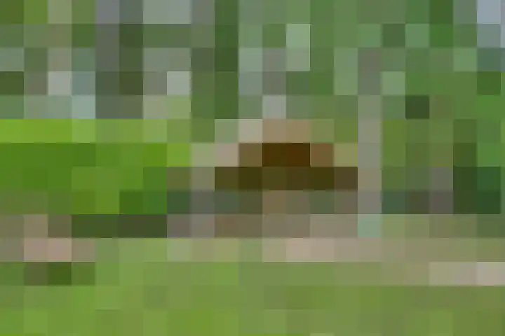 Oude Hellendoornseweg 6 Holten thumbnail 44