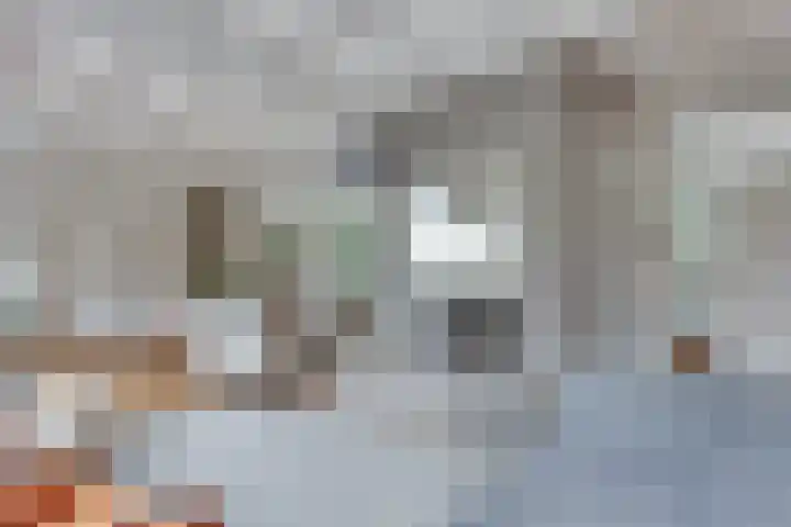 Oude Hellendoornseweg 6 Holten thumbnail 5