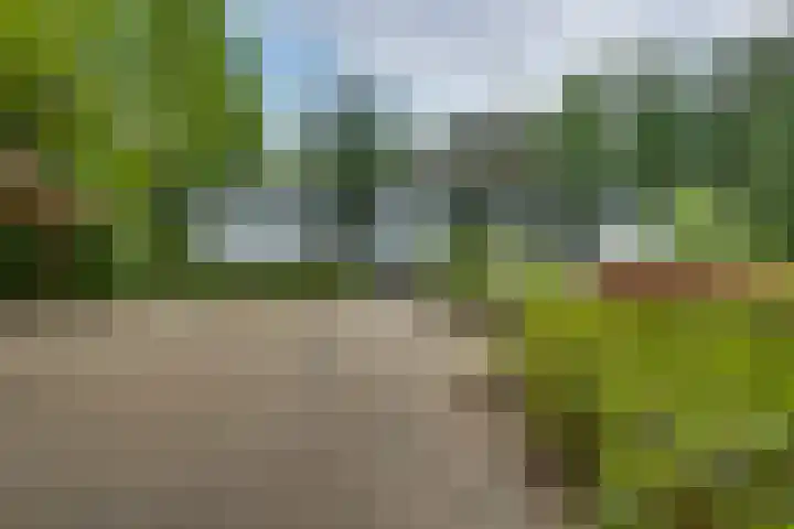 Oude Hellendoornseweg 6 Holten thumbnail 51