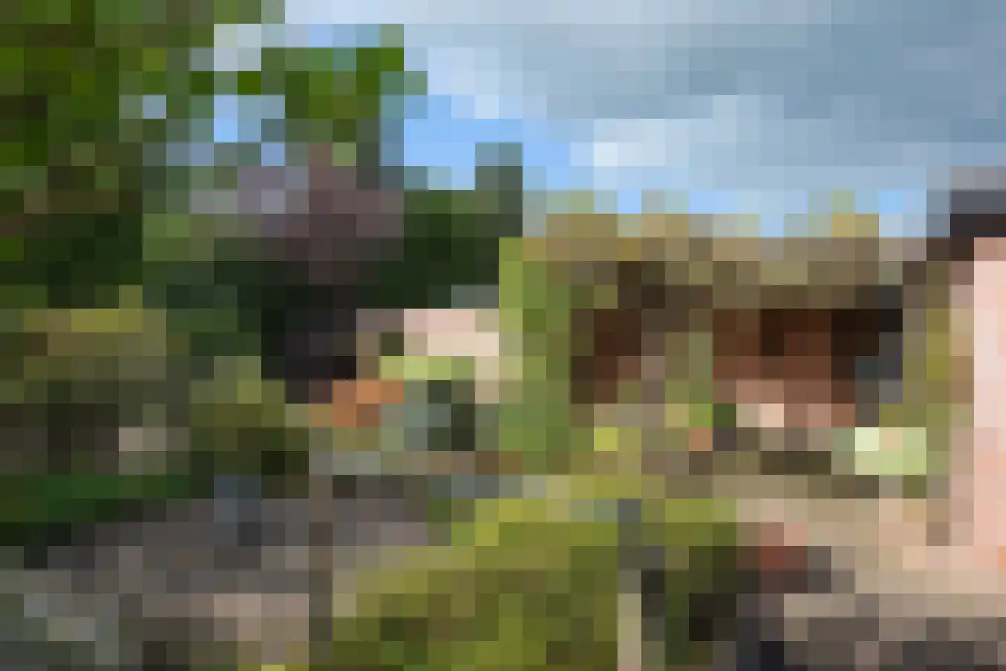 Oude Hengeloseweg 70 Borne thumbnail 35