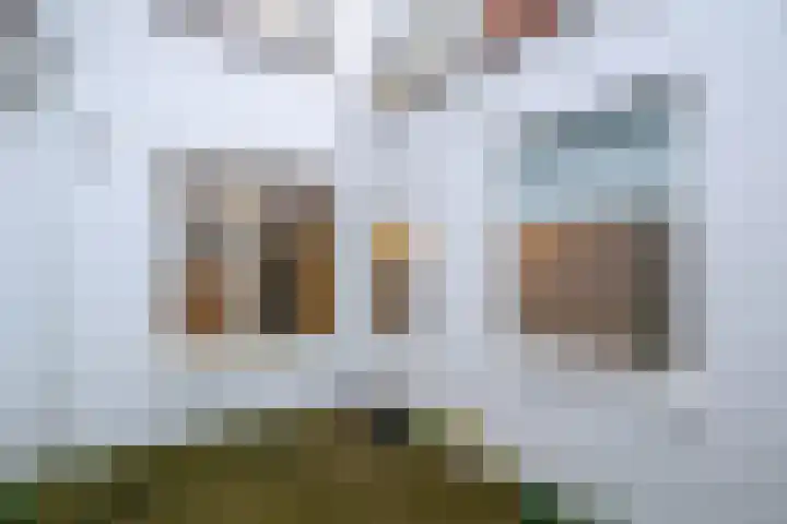Oude Herengracht 12 Leiden thumbnail 16