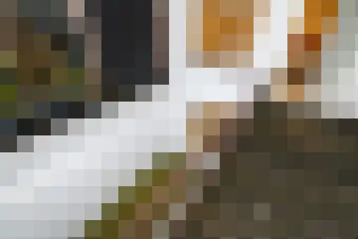 Oude Herengracht 12 Leiden thumbnail 31