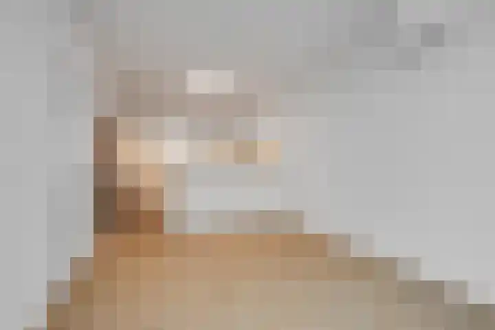 Oude Herengracht 12 Leiden thumbnail 6