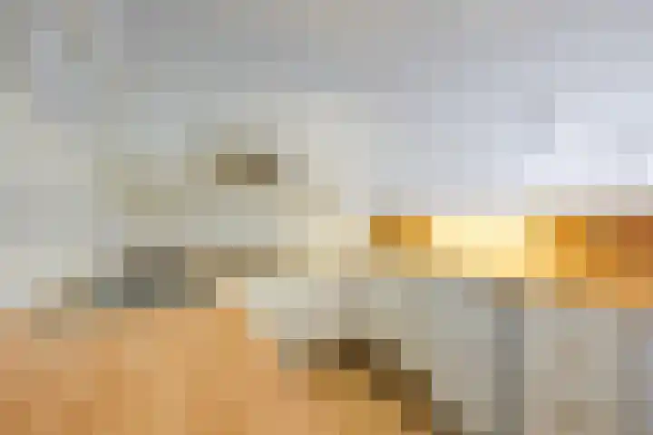 Oude Herengracht 12 Leiden thumbnail 8