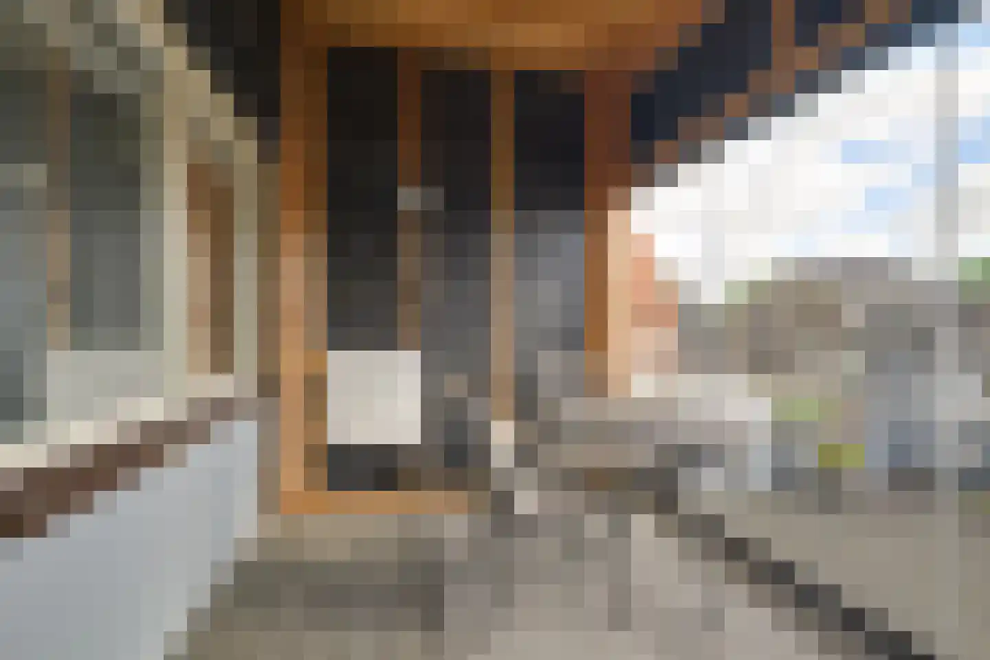 Oude Herengracht 13 Leiden thumbnail 34