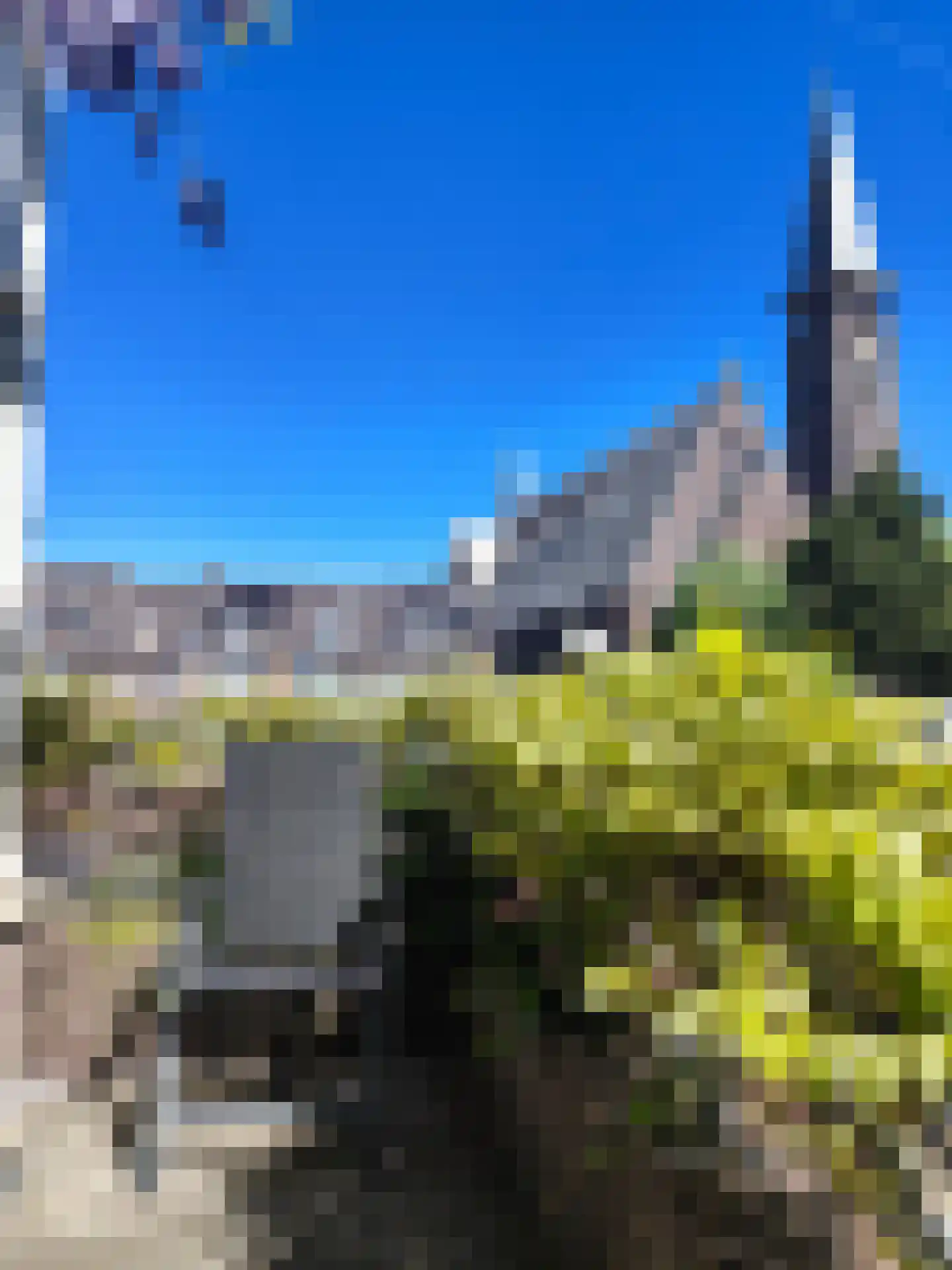 Oude Herengracht 4 Leiden thumbnail 5