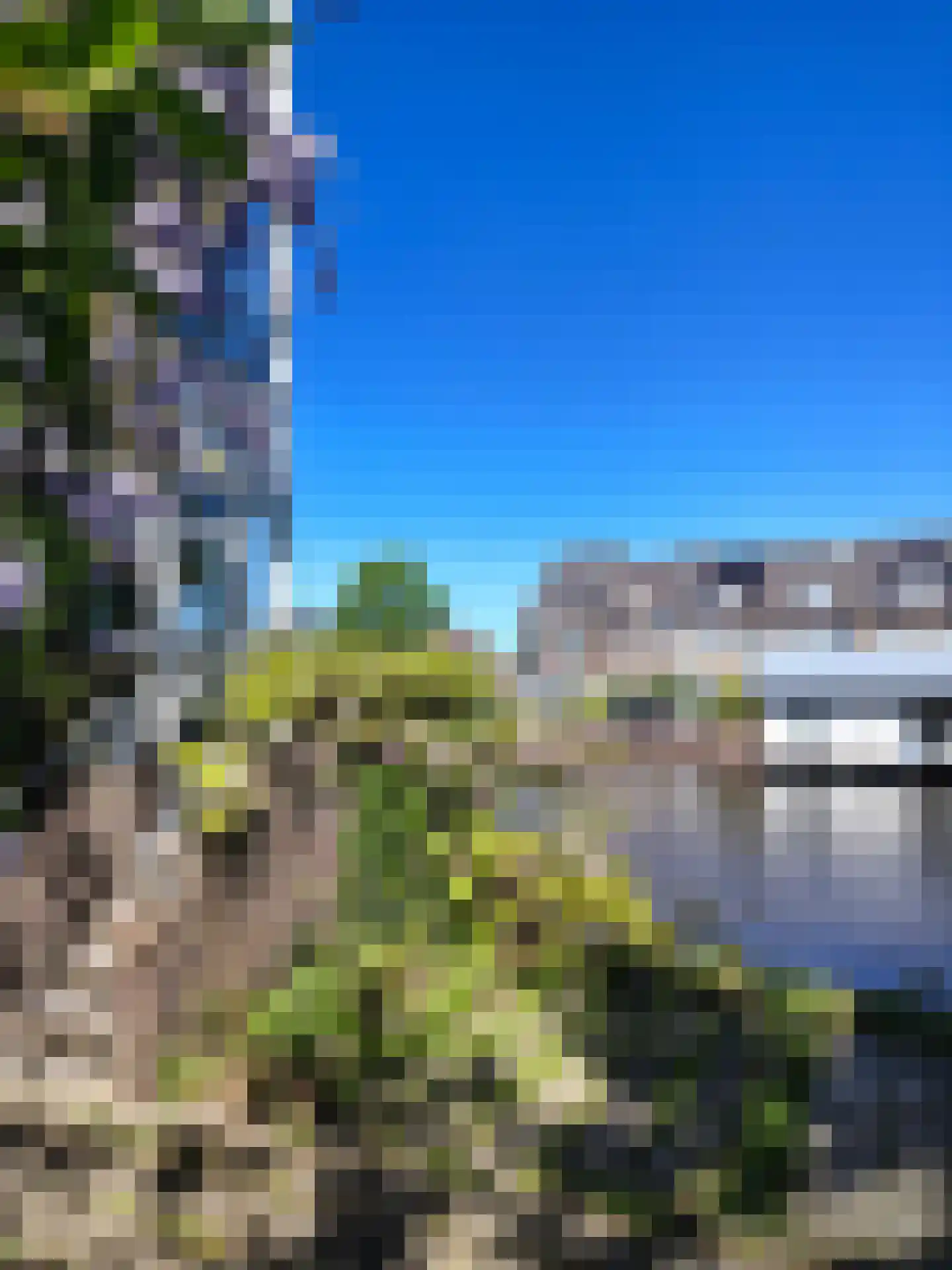Oude Herengracht 4 Leiden thumbnail 6