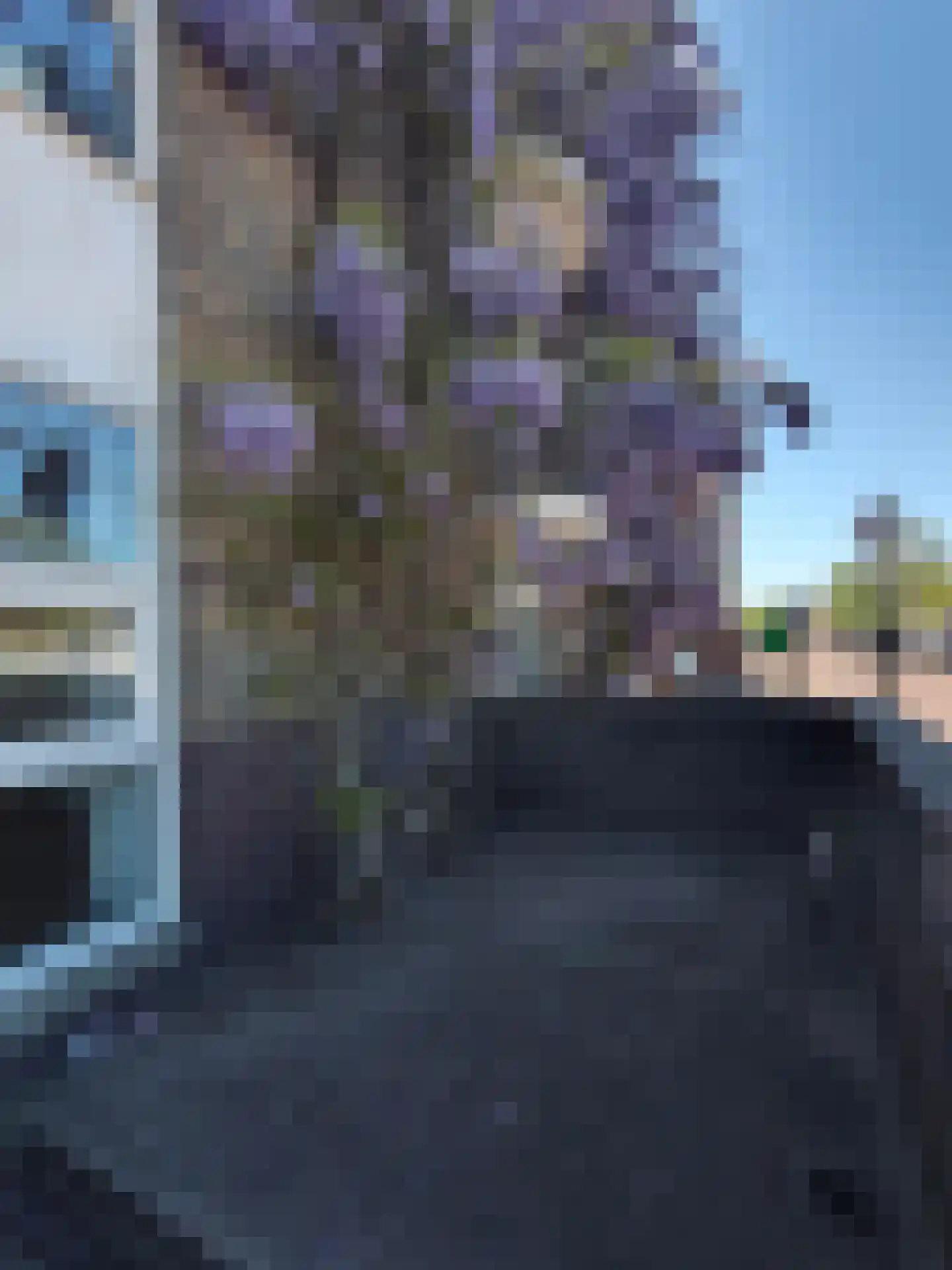 Oude Herengracht 4 Leiden thumbnail 8