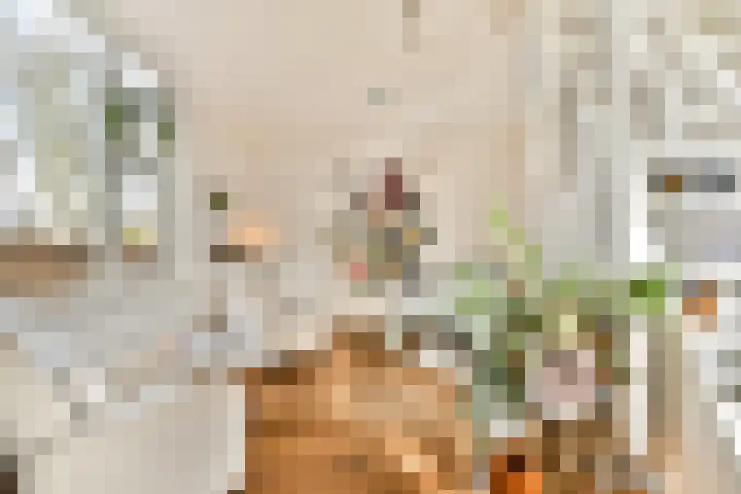 Oude Herenweg 2 Voorhout thumbnail 17