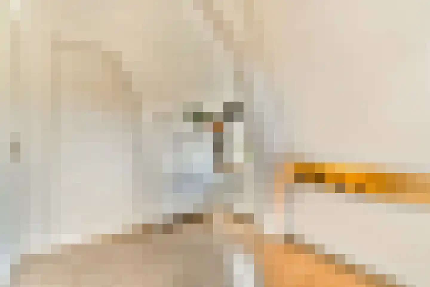 Oude Herenweg 2 Voorhout thumbnail 29