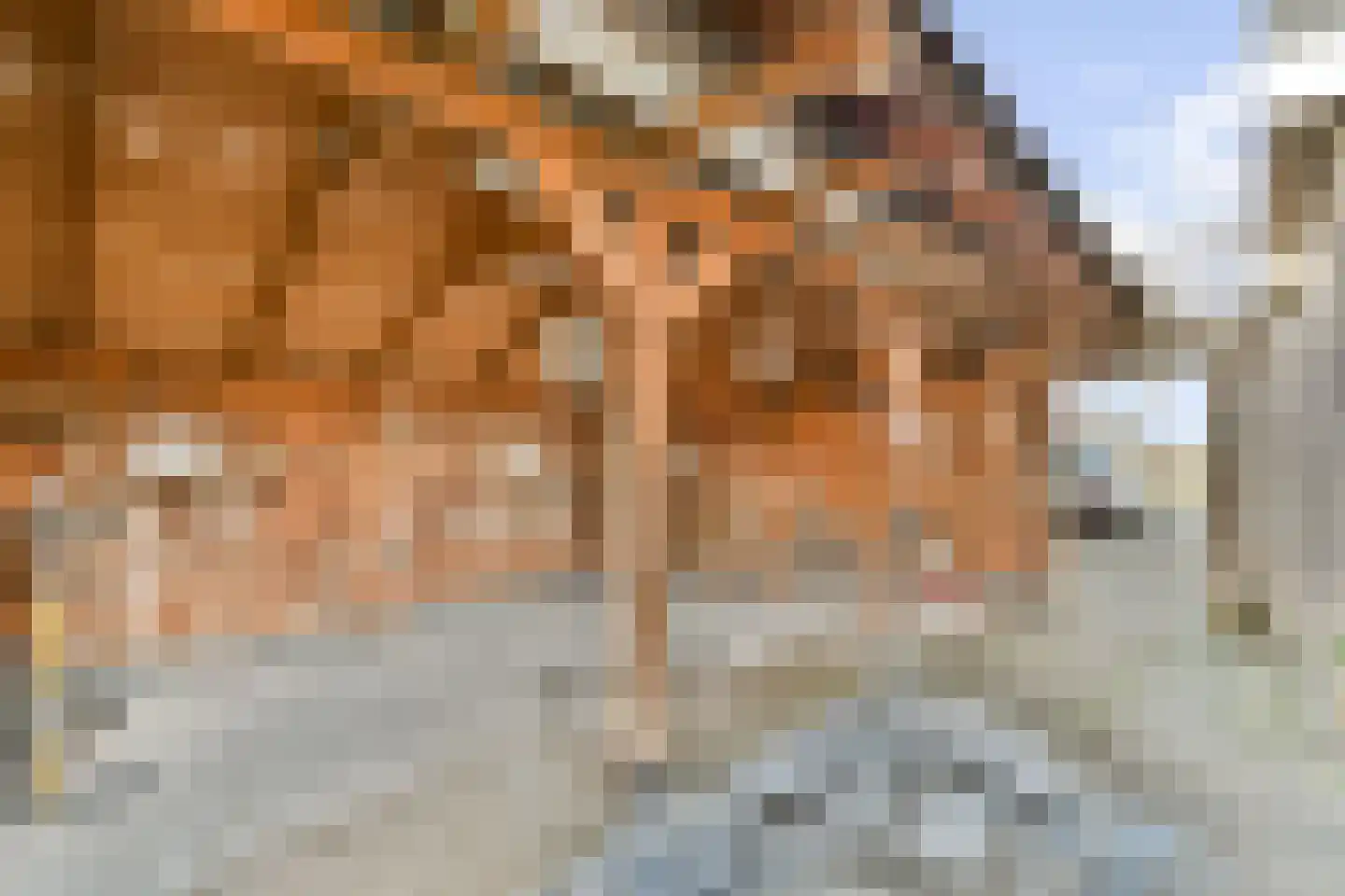 Oude Herenweg 2 Voorhout thumbnail 31
