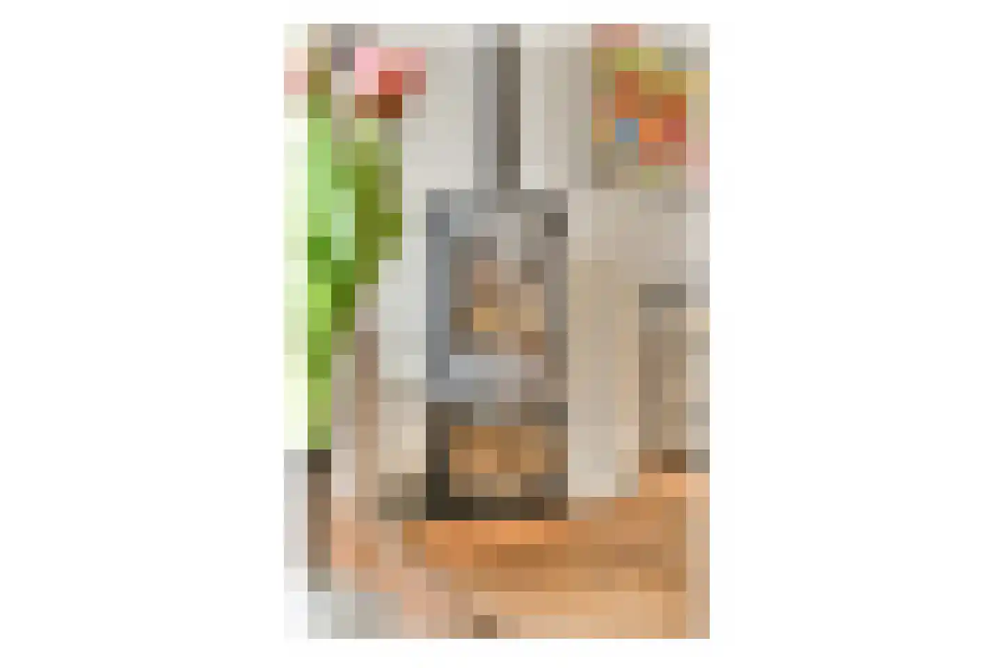 Oude Herenweg 2 Voorhout thumbnail 7