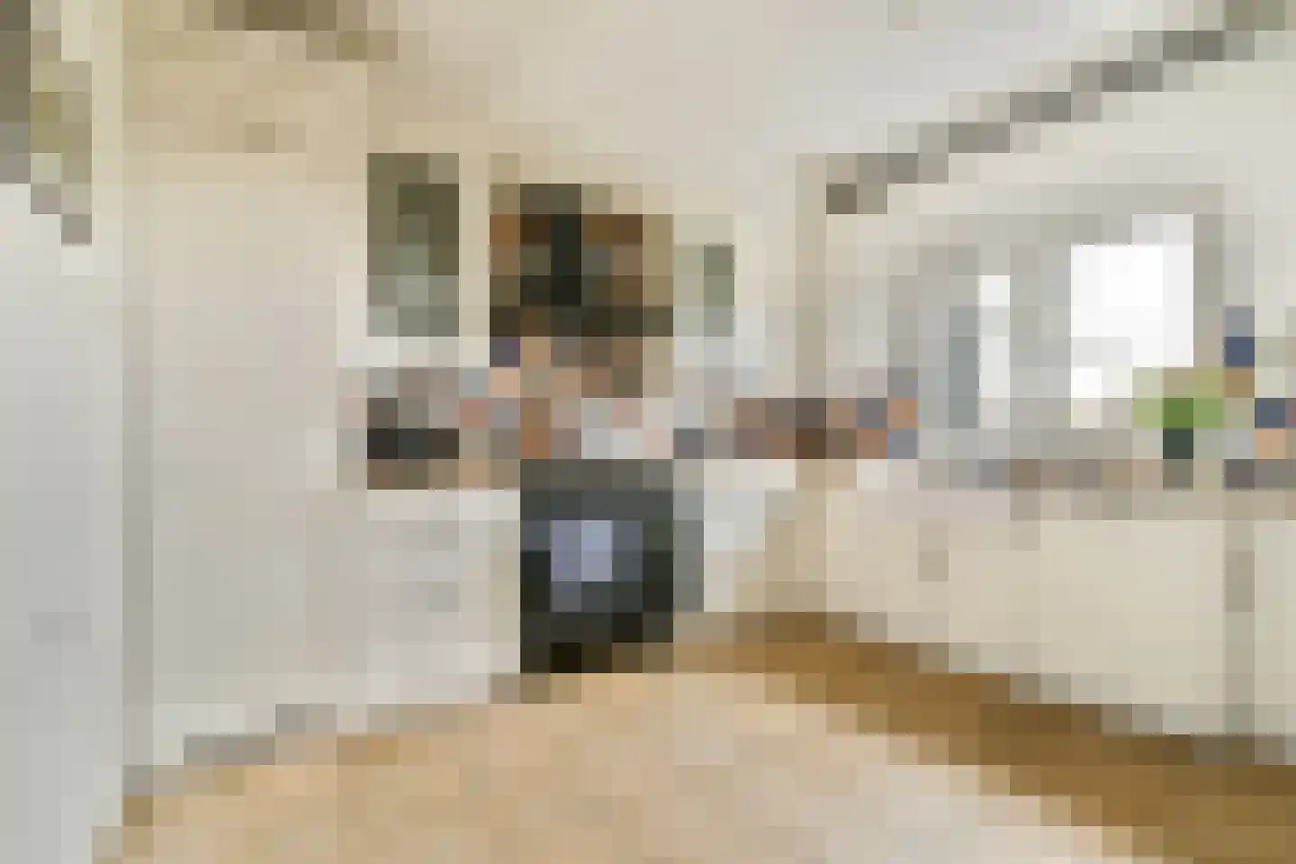 Oude Herenweg 2 Voorhout thumbnail 8