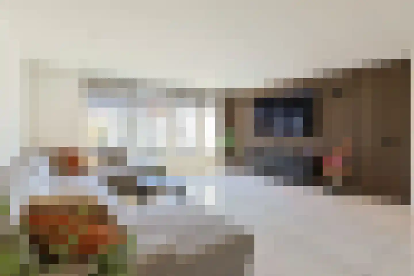 Oude Herenweg 3 Alphen aan den Rijn thumbnail 14