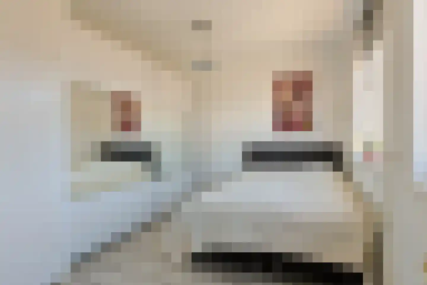Oude Herenweg 3 Alphen aan den Rijn thumbnail 22