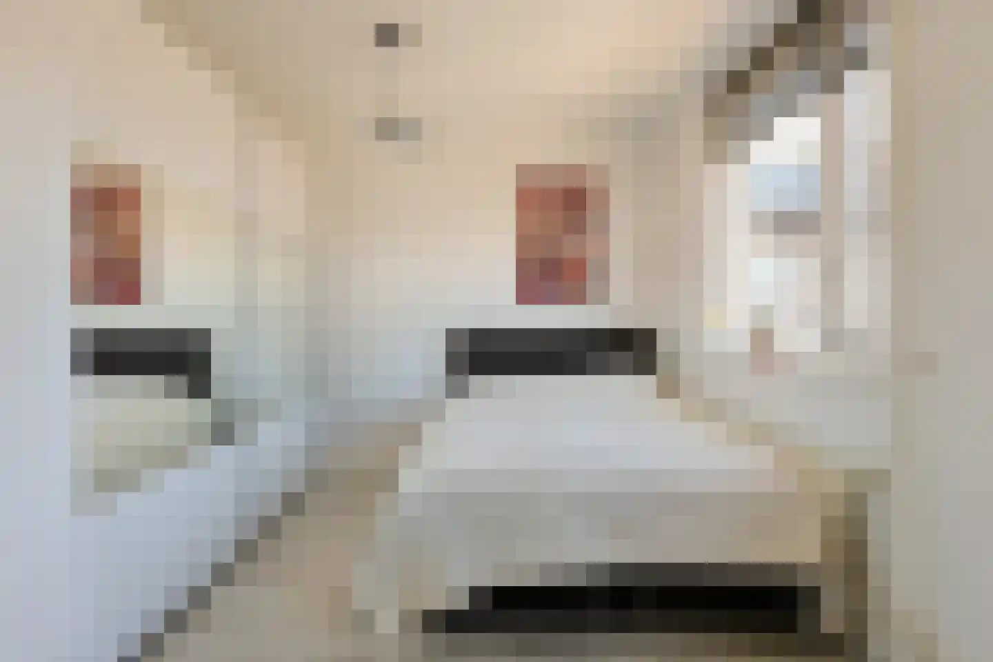 Oude Herenweg 3 Alphen aan den Rijn thumbnail 23