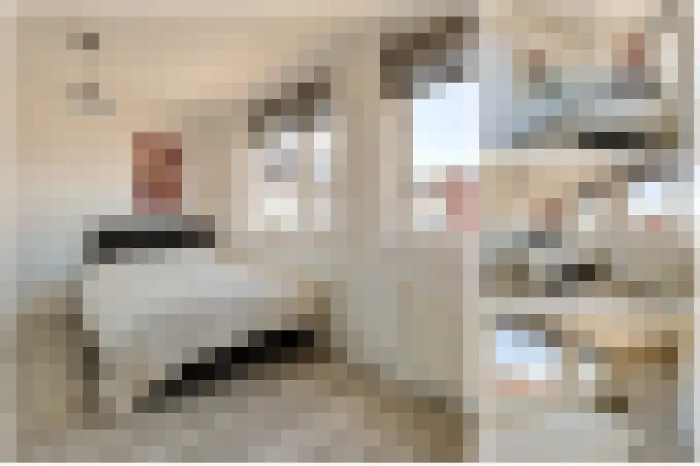 Oude Herenweg 3 Alphen aan den Rijn thumbnail 26